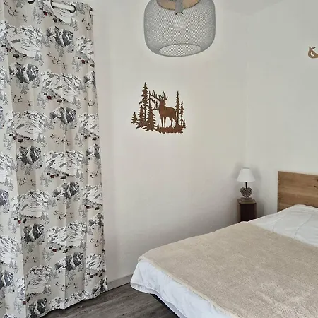 T2 Hyper-centre Proche Télécabine Avec Wifi - Fr-1-234-329 Appartamento