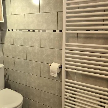 Apartment T2 Au Centre, Proche Telecabine Et Services A - Fr-1-234-329 Cauterets